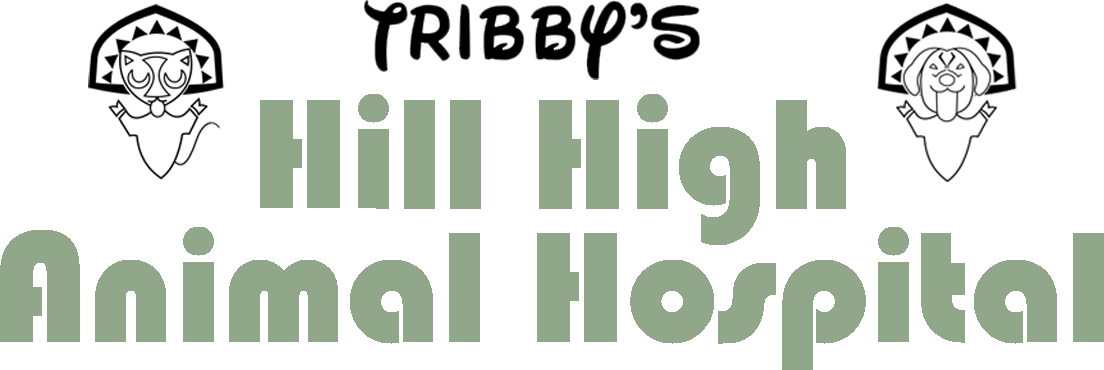Hill High Animal Hospital
